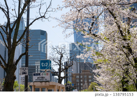 青空に映える外務省前の満開の桜 138795153
