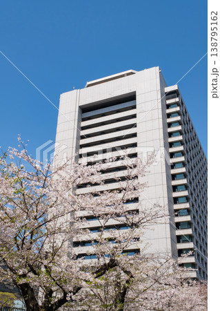 総務省周辺の満開の桜と新緑 138795162