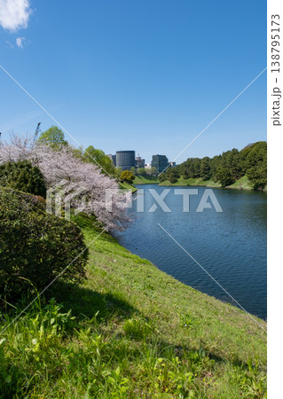 日比谷濠に咲く桜とお堀の風景 日比谷濠に咲く桜とお堀の風景 138795173