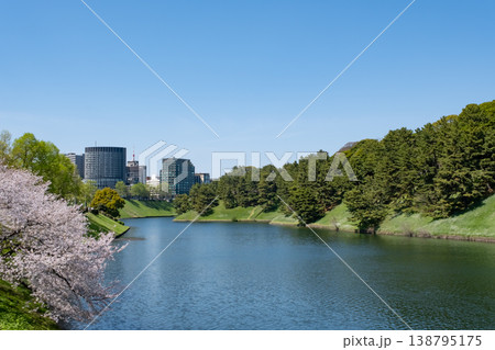 日比谷濠に咲く桜とお堀の風景 日比谷濠に咲く桜とお堀の風景 138795175