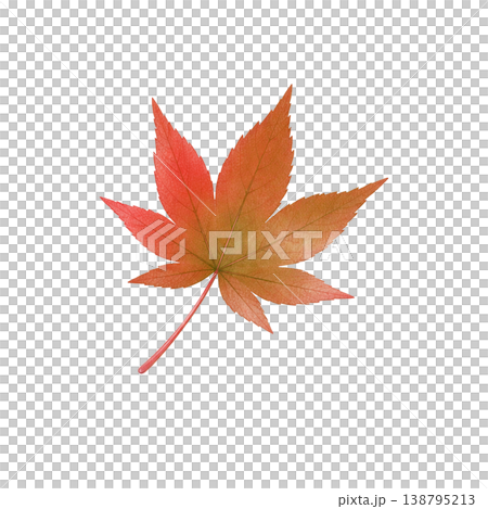 もみじの葉 水彩イラスト 紅葉素材 138795213