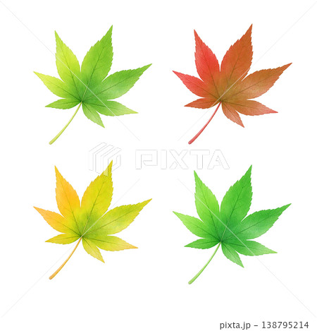 もみじの葉 水彩イラスト セット素材 138795214