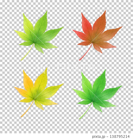もみじの葉 水彩イラスト セット素材 138795214