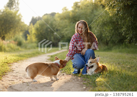 Cheerful Woman Guides Enthusiastic Corgi Through Outdoor Landscape Amidst Golden Sunlight 138795261