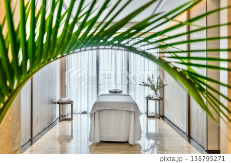 An artistic shot of a spa treatment room interior, captured through a foreground featuring a lush green palm branch. The center of the composition features a neatly made massage table positioned in 138795271