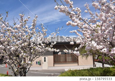 京都・嵐山 京都・嵐山 138795533