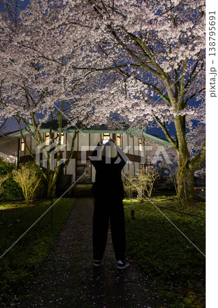 夜桜ライトアップのイベント 中之条ガーデンズ 夜桜ライトアップのイベント 中之条ガーデンズ 138795691