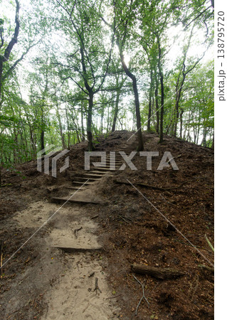 Nationaal Park de Hoge Veluwe 138795720