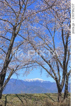 桜咲く春の安曇野 138796237
