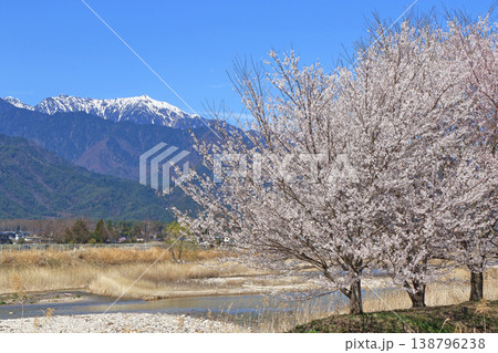 桜咲く春の安曇野 桜咲く春の安曇野 138796238