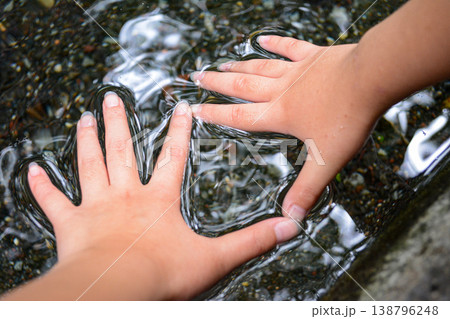 水に触れる手 138796248