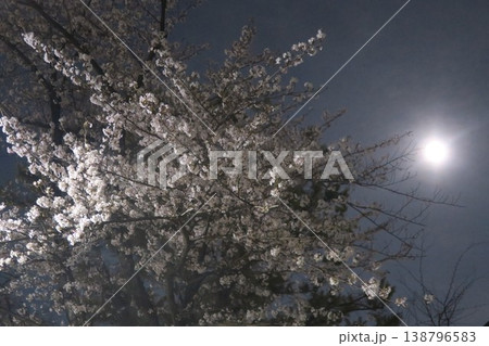 ピンクムーン満月に照らされる桜 ピンクムーン満月に照らされる桜 138796583