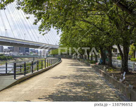 鮮やかな新緑の桜並木 鮮やかな新緑の桜並木 138796652