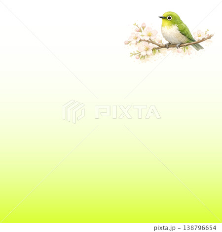 小鳥と新緑の枝 水彩イラスト 背景素材 138796654