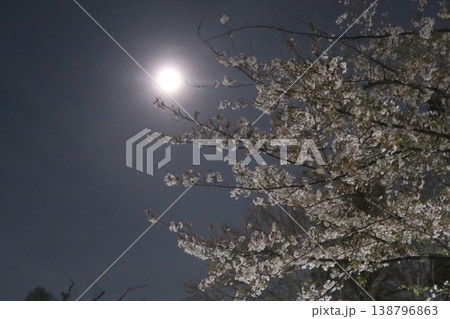 ピンクムーン満月に照らされる桜 ピンクムーン満月に照らされる桜 138796863