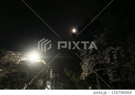 月明かりに照らされる桜と北綾瀬駅の灯 月明かりに照らされる桜と北綾瀬駅の灯 138796868