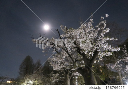 ピンクムーン満月に照らされる夜桜 ピンクムーン満月に照らされる夜桜 138796925