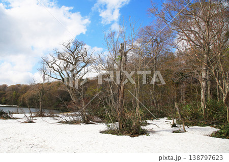 八幡平 新緑 秋田県 八幡平 新緑 秋田県 138797623