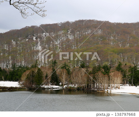 八幡平 新緑 秋田県 八幡平 新緑 秋田県 138797668
