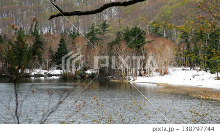 八幡平 新緑 秋田県 八幡平 新緑 秋田県 138797744