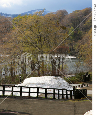 八幡平　新緑　秋田県 138797758