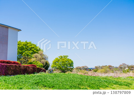 春の風景 138797809