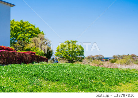 春の風景 春の風景 138797810