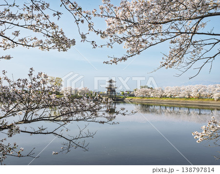 悠久の時を映す水鏡、桜に彩られた弥生楼閣 悠久の時を映す水鏡、桜に彩られた弥生楼閣 138797814