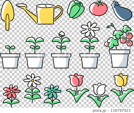 Gardening and home vegetable garden material set 138797923