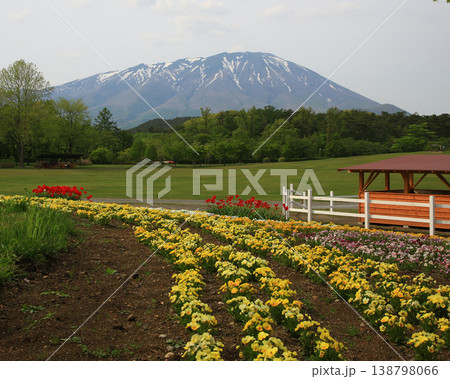 小岩井農場 岩手県 小岩井農場 岩手県 138798066
