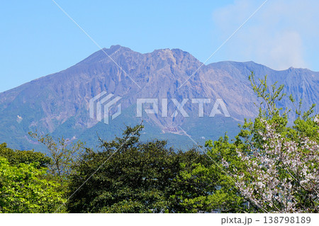 桜島　鹿児島県 138798189