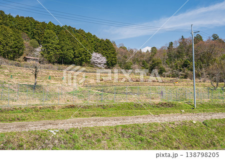 春の棚田風景　滋賀県大津市仰木 138798205