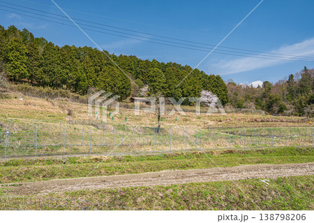 春の棚田風景 滋賀県大津市仰木 春の棚田風景 滋賀県大津市仰木 138798206