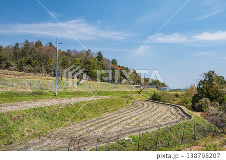 春の棚田風景　滋賀県大津市仰木 138798207