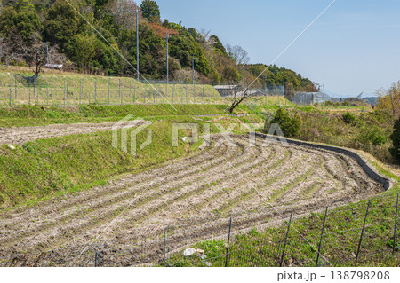 春の棚田風景 滋賀県大津市仰木 春の棚田風景 滋賀県大津市仰木 138798208