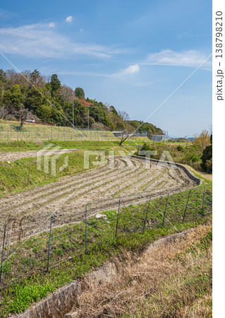 春の棚田風景 滋賀県大津市仰木 春の棚田風景 滋賀県大津市仰木 138798210