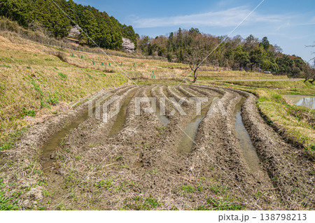 春の棚田風景　滋賀県大津市仰木 138798213