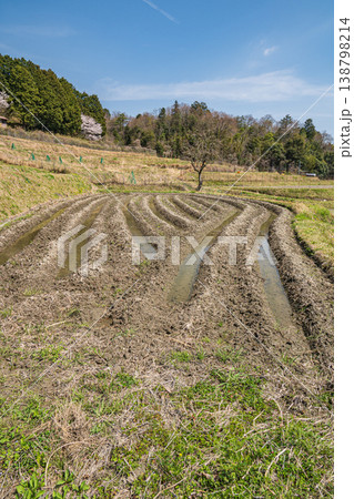 春の棚田風景　滋賀県大津市仰木 138798214