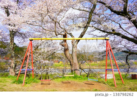 満開の桜並木と公園のブランコ 満開の桜並木と公園のブランコ 138798262