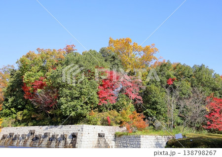 秋の公園　鮮やか　色とりどり　雑木林 138798267