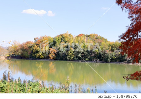 秋の公園　爽やか　黄葉　雑木林 138798270