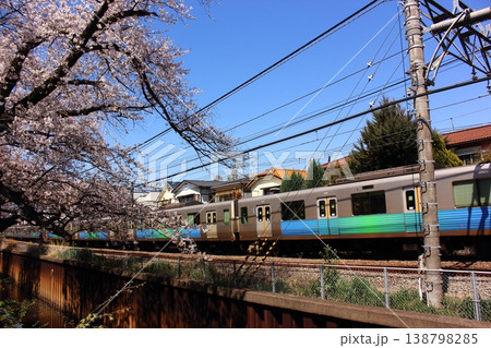 春の武蔵関駅付近の桜並木を通過する西武新宿線の上り電車（3） 138798285