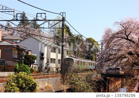 春の武蔵関駅付近の桜並木を通過する西武新宿線の上り電車(4) 春の武蔵関駅付近の桜並木を通過する西武新宿線の上り電車(4) 138798286