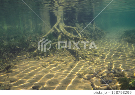 然別湖の湖底(北海道・鹿追町) 然別湖の湖底(北海道・鹿追町) 138798299