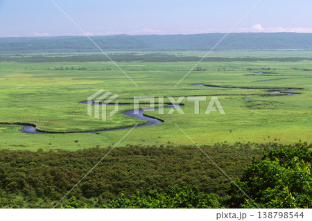 夏の釧路湿原(北海道・鶴居村) 夏の釧路湿原(北海道・鶴居村) 138798544