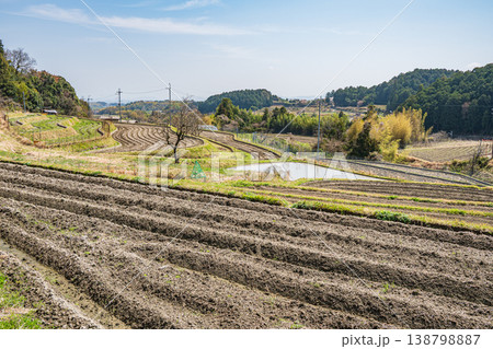 春の棚田風景 滋賀県大津市仰木 春の棚田風景 滋賀県大津市仰木 138798887