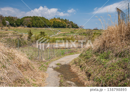 春の棚田風景 滋賀県大津市仰木 春の棚田風景 滋賀県大津市仰木 138798893
