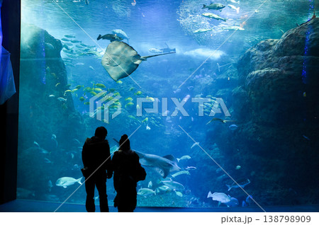 たくさんの魚たちが泳ぐ水槽の前に立つカップル たくさんの魚たちが泳ぐ水槽の前に立つカップル 138798909