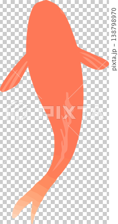 Goldfish illustration from above (vector) | Japanese-style material usable for ornamental fish and pond designs Goldfish illustration from above (vector) | Japanese-style material usable for ornamental fish and pond designs 138798970