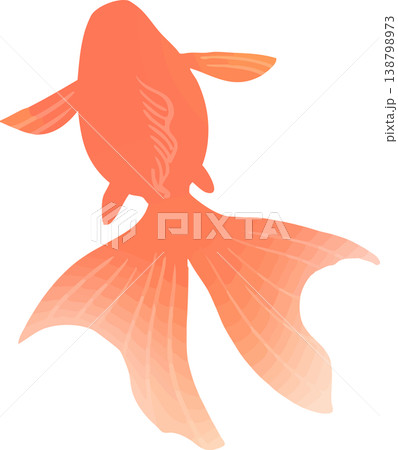 上から見た金魚のイラスト ベクター｜観賞魚・池デザインに使える和風素材 138798973